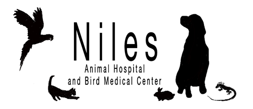 Logo for Niles Animal Hospital & Bird Medical Center